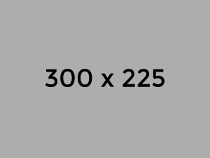 300x225.jpg