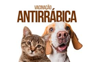 Vacinação antirrábica animal na Comunidade São Francisco de Assis