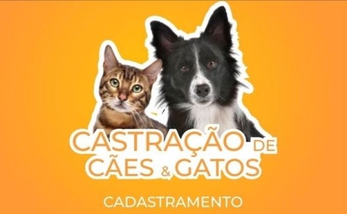 Castração de cães e gatos em setembro